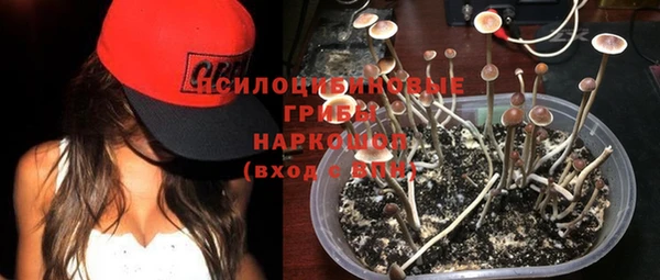 твердый Беломорск