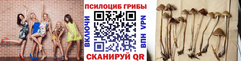 Галлюциногенные грибы мицелий  Купить где  Котовск 